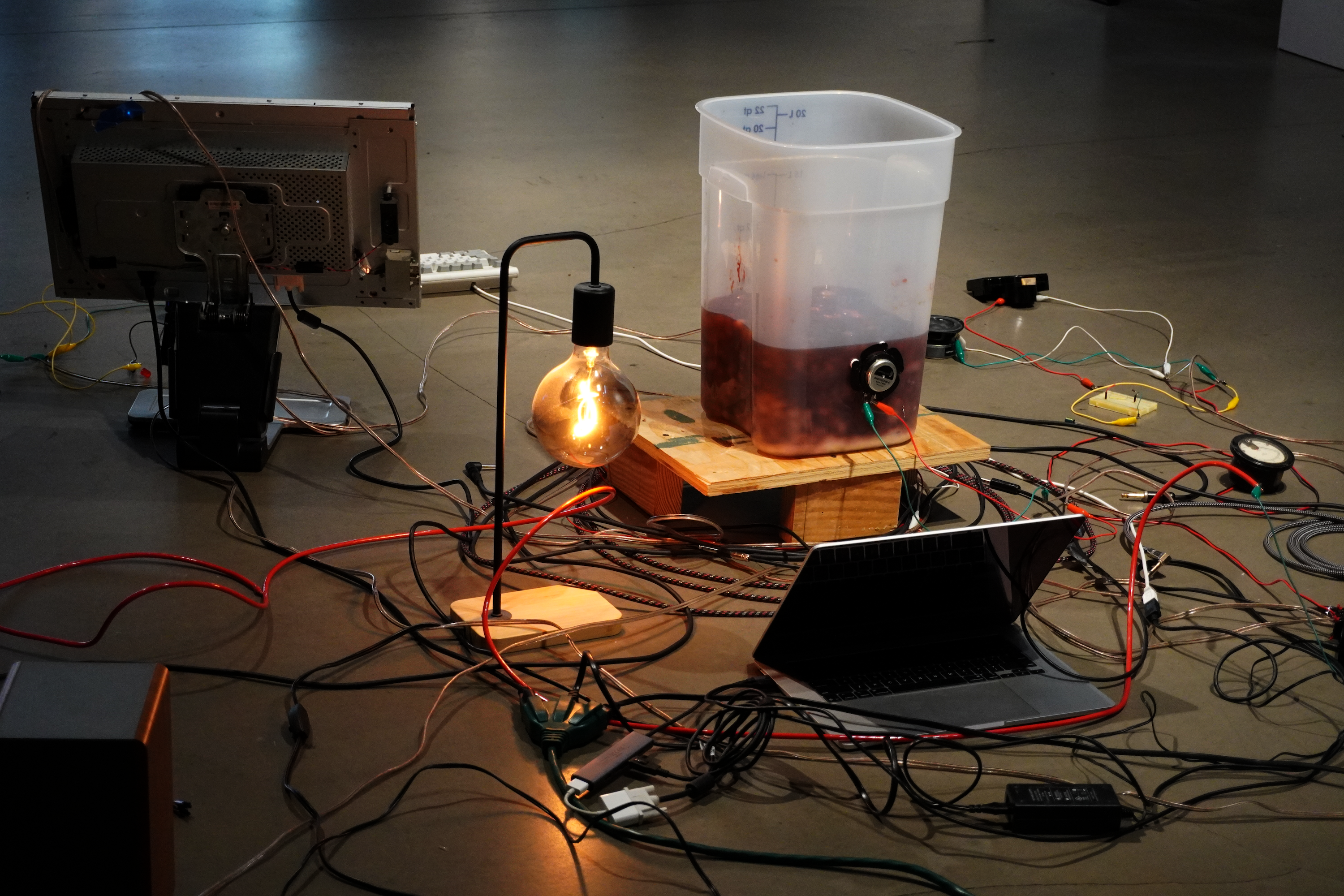 blood computer exhibition at tiat gallery